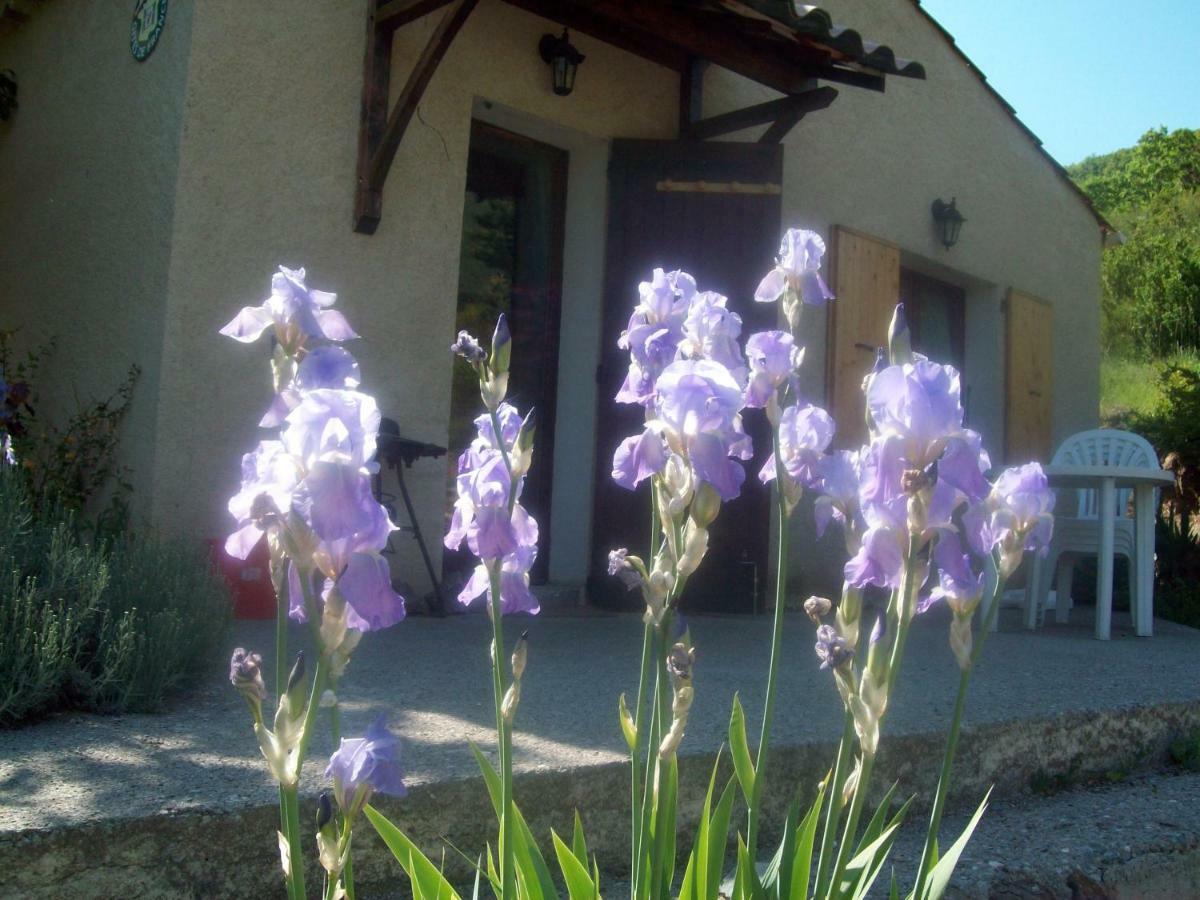 Gite Les Iris La Robine-Sur-Galabre Buitenkant foto